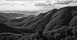 Black-and-white photograph representing landscapes, nature, and communities, embodying rich tonal contrasts.