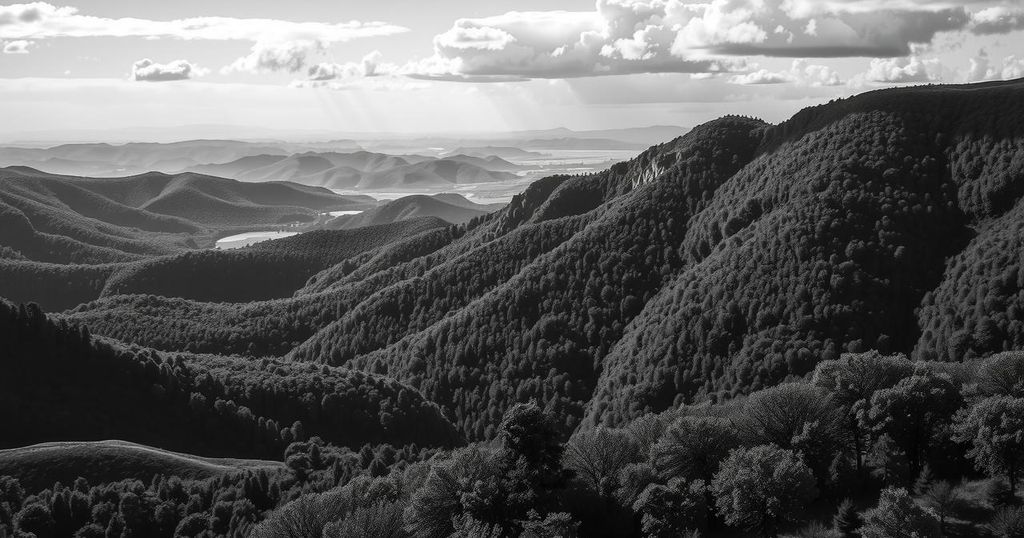 Black-and-white photograph representing landscapes, nature, and communities, embodying rich tonal contrasts.