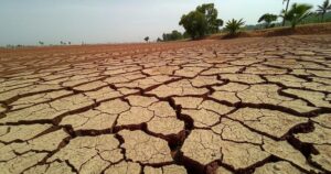 Scorched farmland in Honduras illustrating hunger and drought effects on communities.