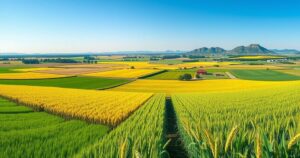 Vibrant countryside with lush green wheat and soybean fields under a sunny sky, showcasing Argentina's agricultural growth.